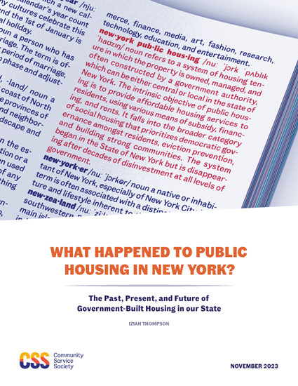 What Happened to Public Housing in New York? The Past, Present, and Future of Government-Built Housing in Our State