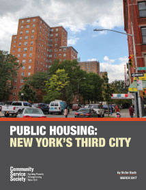 Public Housing: New York’s Third City